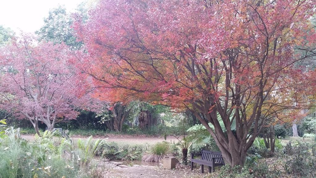 Babbling Brook Bed & Breakfast Pietermaritzburg Zewnętrze zdjęcie