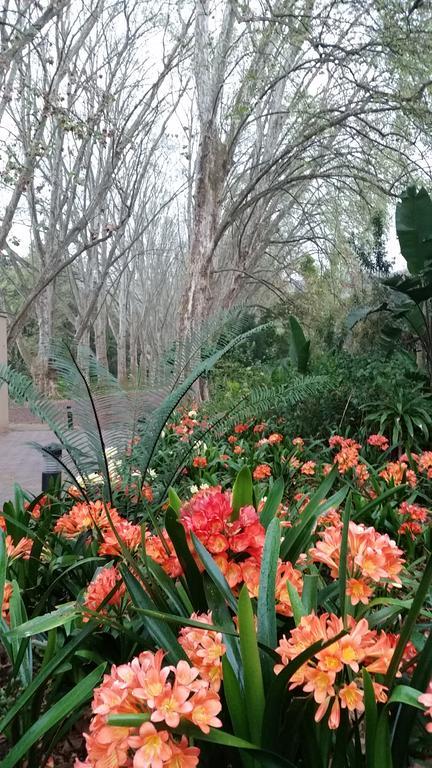 Babbling Brook Bed & Breakfast Pietermaritzburg Zewnętrze zdjęcie