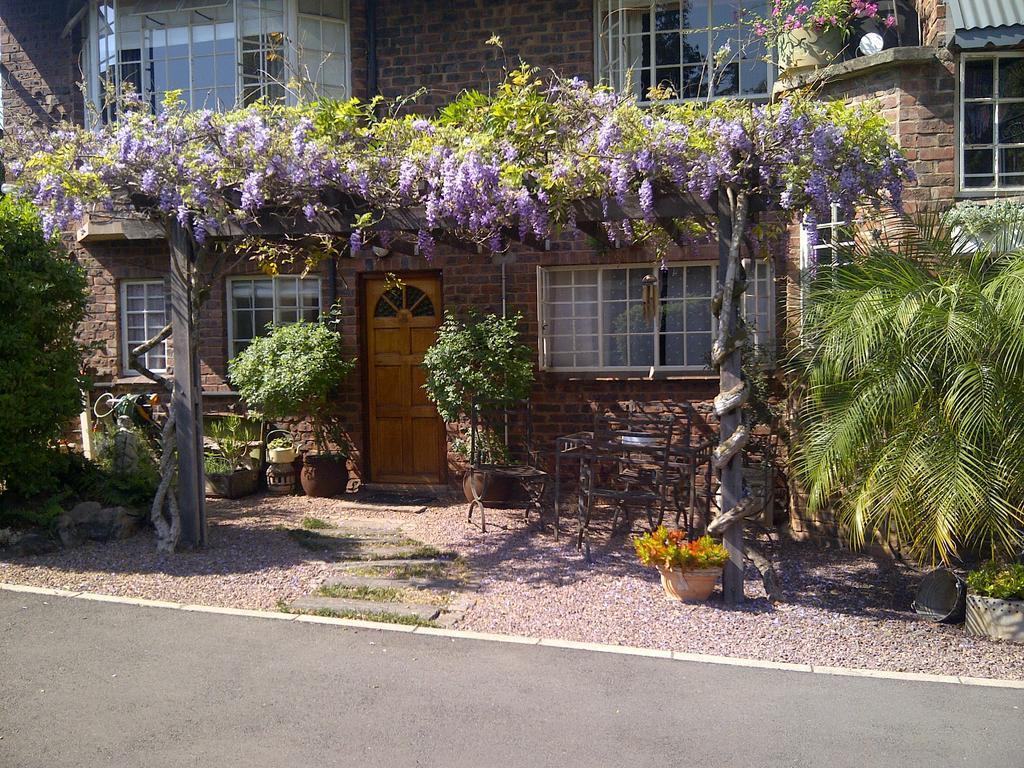 Babbling Brook Bed & Breakfast Pietermaritzburg Zewnętrze zdjęcie