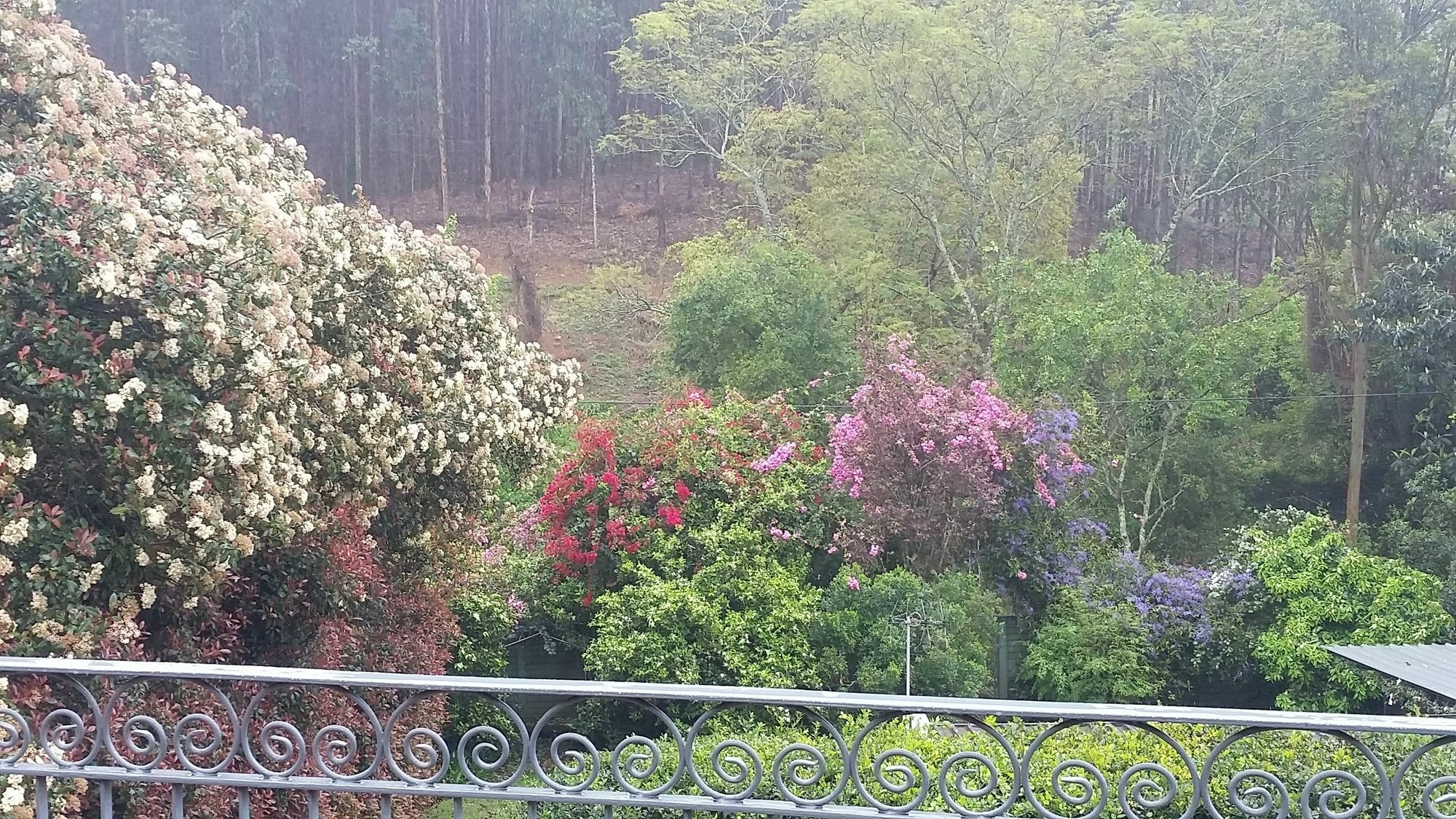 Babbling Brook Bed & Breakfast Pietermaritzburg Zewnętrze zdjęcie