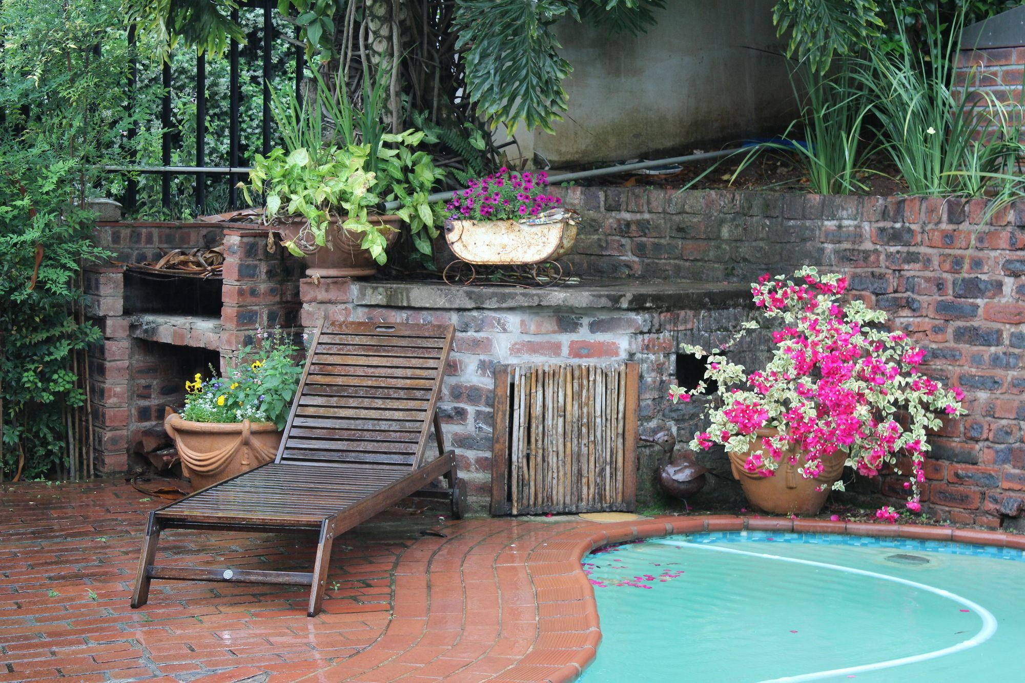 Babbling Brook Bed & Breakfast Pietermaritzburg Zewnętrze zdjęcie